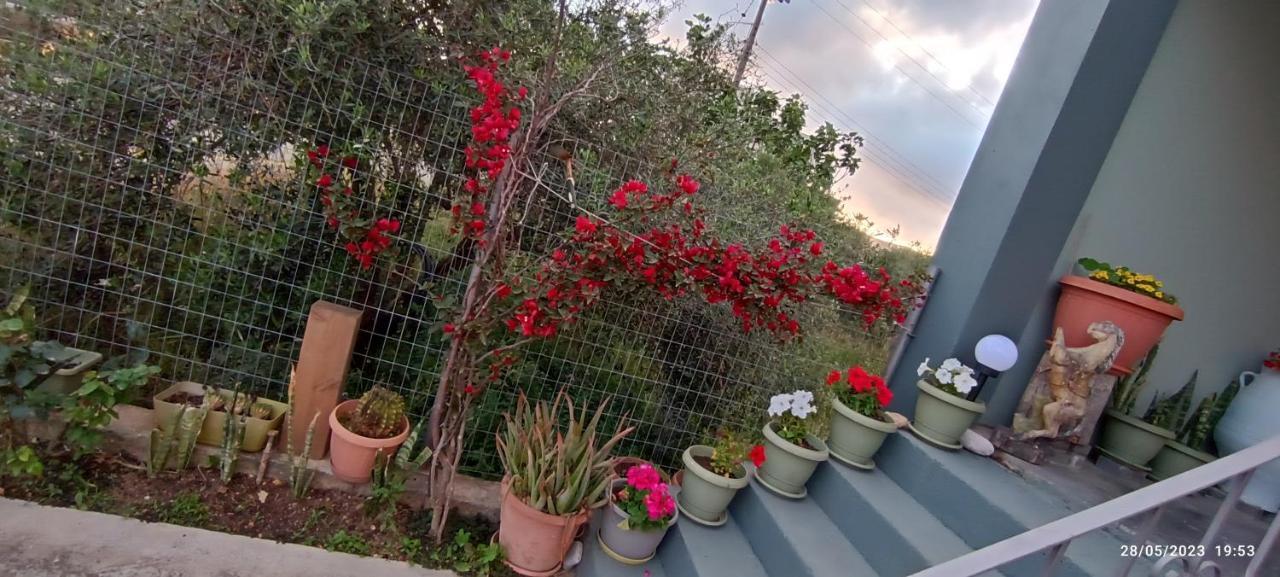 הוילה Tzigkouna Marilidiahouse מראה חיצוני תמונה
